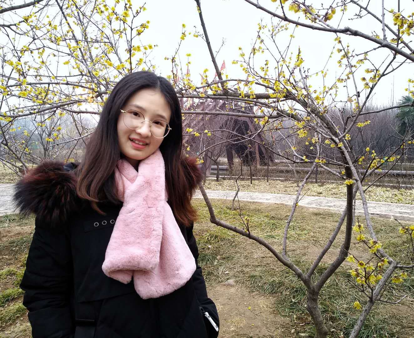 spbo即时比分手机