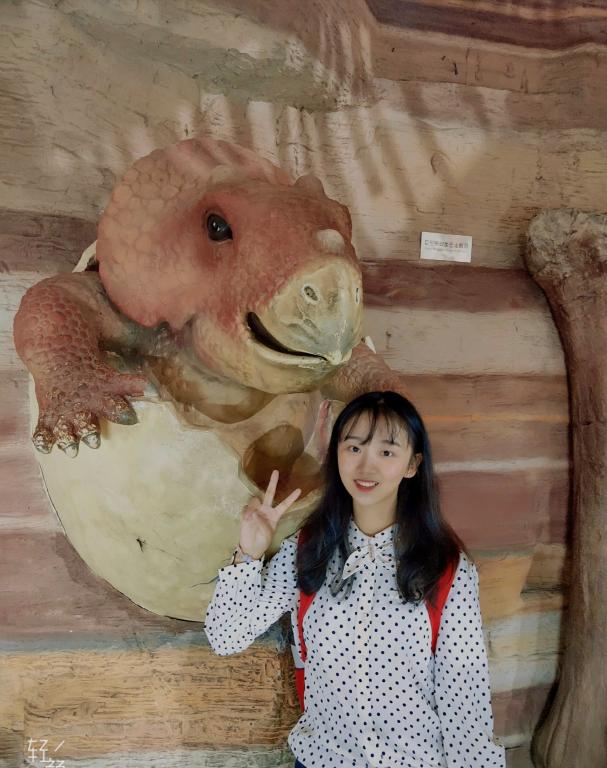 spbo即时比分手机